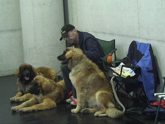 Salzburg Clubschau Mai 06 234 